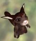 Just Kanini's picture